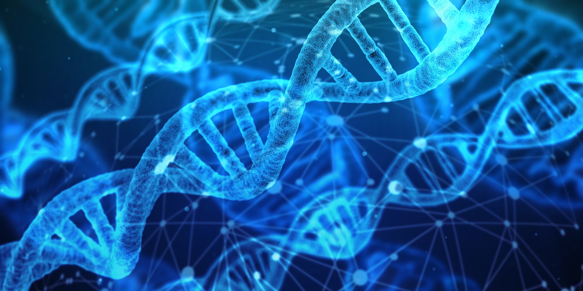 DNA molecular structures and biological data networks